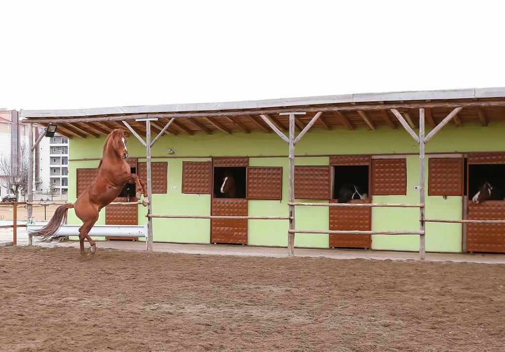 Afyon Can Termal Apart Afyonkarahisar Ngoại thất bức ảnh